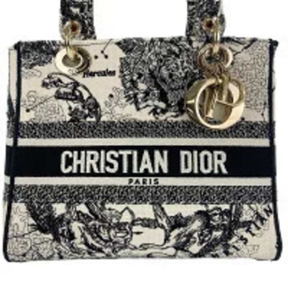 Christian Dior Canvas Lady Embroidered Handbag Black